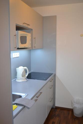 uma cozinha com um lavatório e um micro-ondas em Březník Kilián em Kvilda