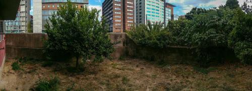a group of trees in a city with buildings at Casa da Tia Adozinda in Lisbon