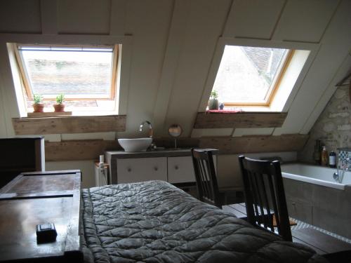 a bedroom with a bed and a sink and two windows at Chambre du Toucan in Misy-sur-Yonne