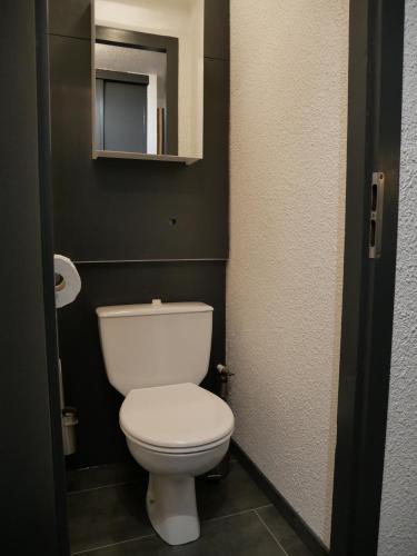Appartement 4 personnes au pied des pistes du Linga à CHÂTEL في شاتيل: حمام به مرحاض أبيض ومرآة
