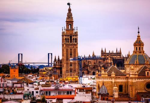 Fantastico estudio en centro ciudad - Conde de Ibarra 11/13-