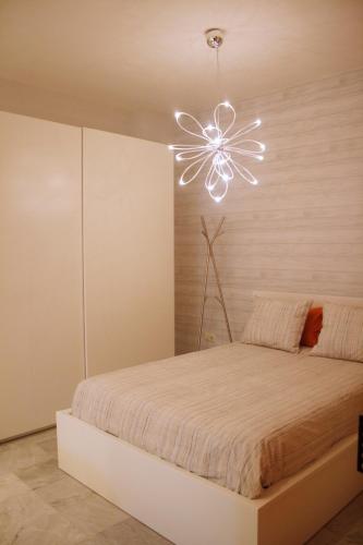 Fantastico estudio en centro ciudad - Conde de Ibarra 11/13-