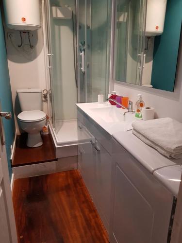 y baño con aseo, lavabo y ducha. en Apartamento Puerto deportivo, en Bermeo