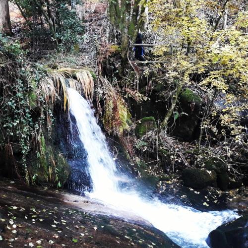 a waterfall in the middle of a forest at El Atico de Villalmar in Tui
