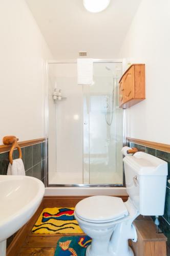 a bathroom with a toilet and a sink and a shower at Cadleigh Manor in Ivybridge