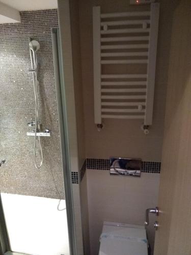 a bathroom with a toilet and a shower at Kopaonik011 Konaci&WoodSide Apartments in Kopaonik