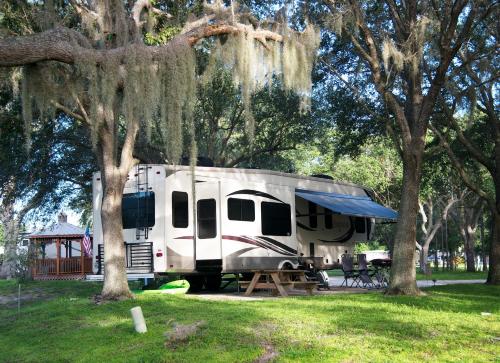 Camp Mack, A Guy Harvey Lodge – Photos 4
