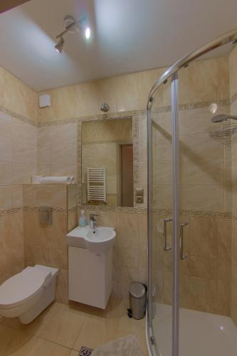 a bathroom with a shower and a toilet and a sink at Willa Leszczynko - pokoje gościnne in Leszno