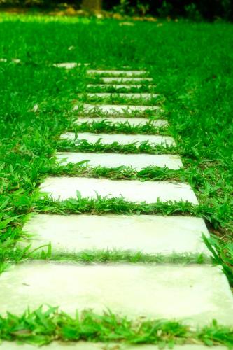 a stepping stone pathway in the grass at Talalla 170 Villa in Talalla