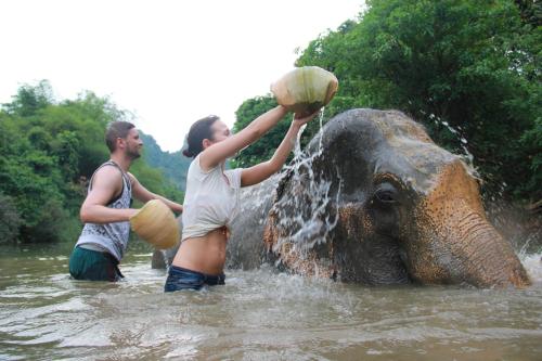 two people are washing an elephant in the water at Gaarawe, Khao Sok, Surat Thani Province, Thailande in Ban Bencha