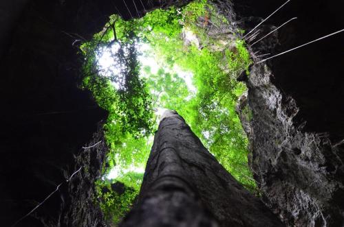 a view from the inside of a cave with green vegetation at Gaarawe, Khao Sok, Surat Thani Province, Thailande in Ban Bencha