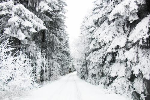 a snow covered road with snow covered trees at Hotel Medlov Depandance in Fryšava