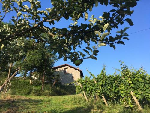 an old house on a hill with an apple tree at Agroturismo Erlete Goikoa -ESTAMOS EN EL CAMINO DE SANTIAGO -WE ARE ON THE CAMINO DE SANTIAGO in Deba