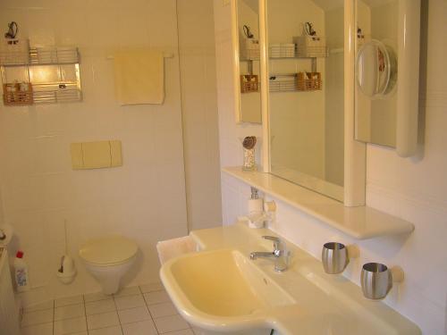 Baño blanco con lavabo y aseo en Ferienidyll Aumühle "Muswiese" en Rot am See