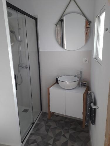 uma casa de banho com um lavatório e um chuveiro com um espelho. em La Tia Vinagre em Vejer de la Frontera