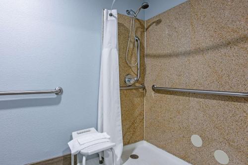 a bathroom with a shower and a toilet at Cielo Hotel Bishop-Mammoth, an Ascend Collection Hotel in Bishop