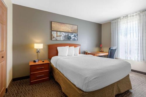 a hotel room with a large bed and a window at Suburban Studios Birmingham Homewood I-65 in Birmingham