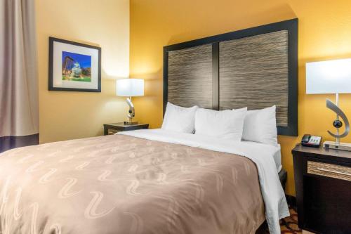 Habitación de hotel con cama grande y escritorio. en Quality Inn & Suites Montgomery East Carmichael Rd, en Montgomery