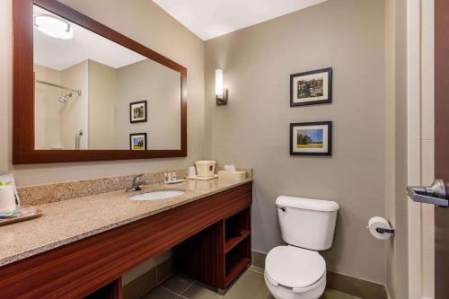 a bathroom with a sink and a toilet and a mirror at Comfort Suites Tuscaloosa near University in Tuscaloosa