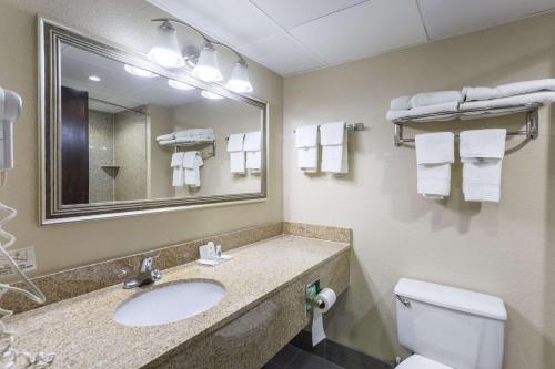 ein Badezimmer mit Waschbecken, Toilette und Spiegel in der Unterkunft Comfort Inn Decatur Priceville in Decatur