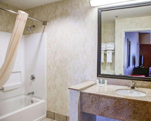 a bathroom with a sink and a tub and a mirror at Comfort Suites Gadsden Attalla in Gadsden