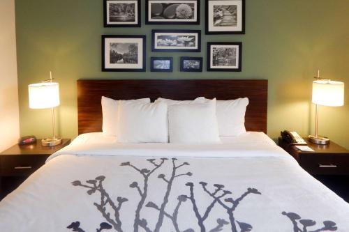 a bedroom with a bed with two lamps and pictures on the wall at Sleep Inn & Suites near Liberty Place I-65 in Evergreen