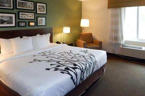 Krevet ili kreveti u jedinici u okviru objekta Sleep Inn & Suites near Liberty Place I-65