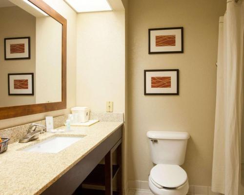 a bathroom with a toilet and a sink and a mirror at Quality Inn & Suites I-40 East in North Little Rock