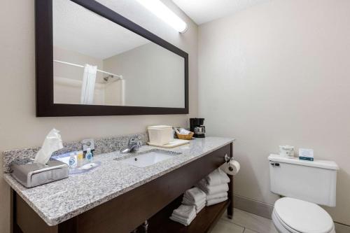 Ένα μπάνιο στο Quality Inn & Suites Mountain Home North