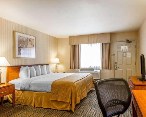 a hotel room with a bed and a chair at Quality Inn Petaluma - Sonoma in Petaluma