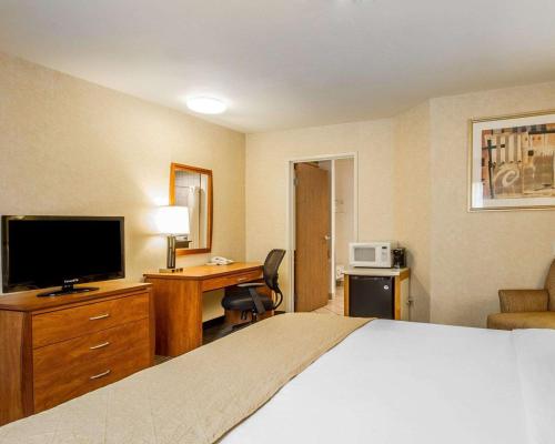 a hotel room with a bed and a desk with a television at Quality Inn Petaluma - Sonoma in Petaluma