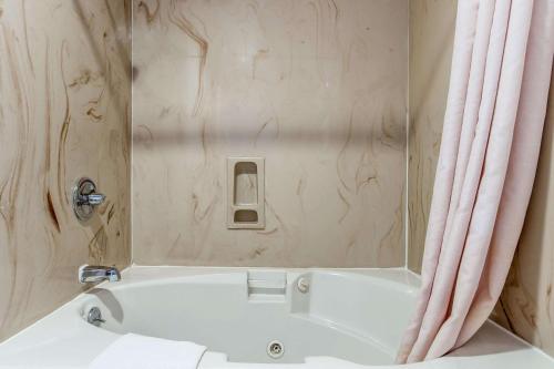 a bathroom with a bath tub with a mirror at Econo Lodge Castro Valley I-580 in Castro Valley