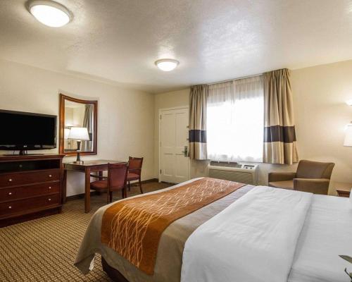 a hotel room with a bed and a desk and a television at Blu Pacific Hotel in Monterey