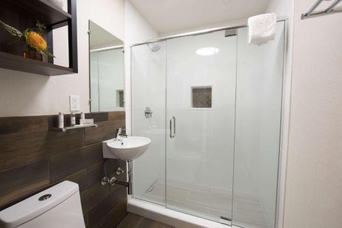 La salle de bains est pourvue d'une douche en verre et d'un lavabo. dans l'établissement The Vine Inn Davis, à Davis