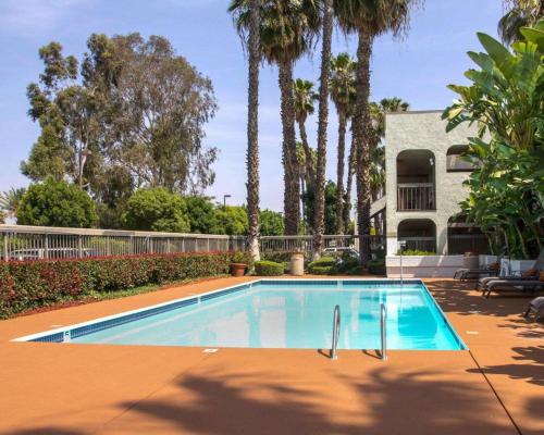 a swimming pool in a yard with palm trees at Quality Inn Riverside near UCR and Downtown in Riverside