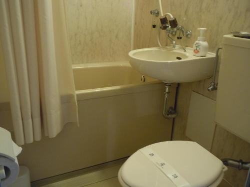 a bathroom with a toilet and a sink and a tub at Hotel Seikoen in Nikko