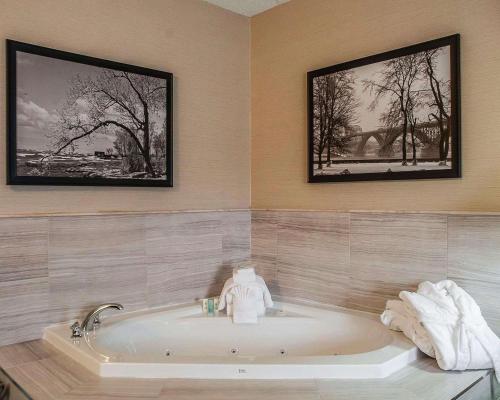 Ảnh trong thư viện ảnh của Comfort Inn ở Fort Erie