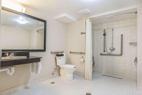 a bathroom with a shower and a toilet and a sink at Comfort Inn Belleville in Belleville