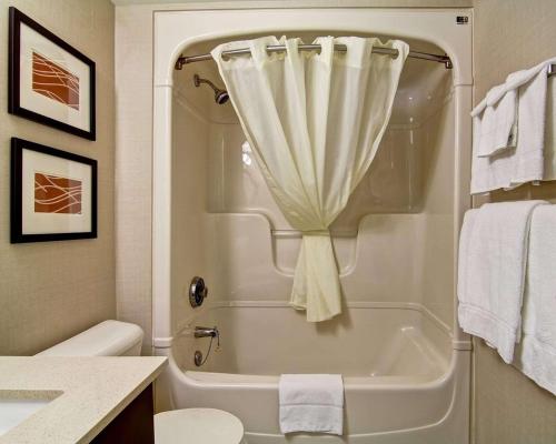 uma casa de banho com uma banheira e um chuveiro com uma cortina em Comfort Inn St. Catharines Niagara em St. Catharines