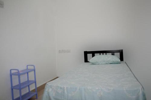 a bedroom with a bed and two blue shelves at Bamba Flat in Colombo