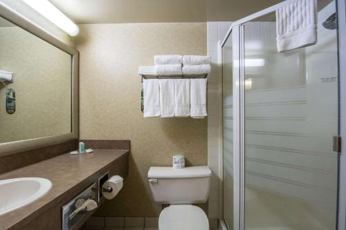 La salle de bains est pourvue de toilettes, d'un lavabo et d'une douche. dans l'établissement Comfort Inn & Suites Airport South, à Calgary