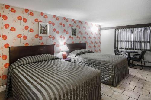 Postel nebo postele na pokoji v ubytování Econo Lodge Lloydminster