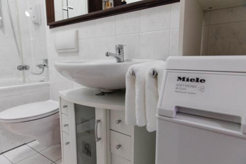 A bathroom at Luxury flat between Cologne and Bonn and Phantasialand Bruhl