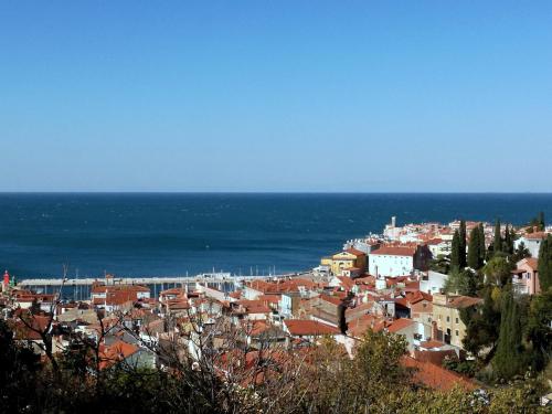 a view of a city with the ocean in the background at Apartment Lunaja in Piran
