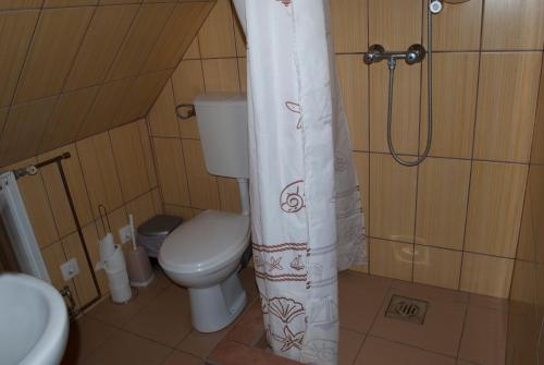Kajászószentpéter的住宿－Szent Péter vendégház，一间带卫生间和淋浴帘的浴室