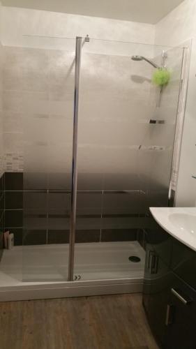 une douche avec une porte vitrée dans une salle de bain dans l'établissement Appartement vue sur mer et port, à Grandcamp-Maisy