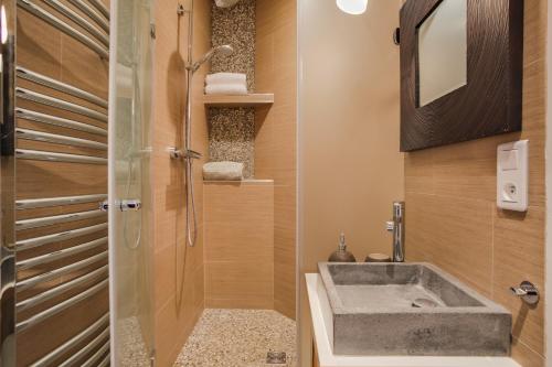 a bathroom with a sink and a shower at Le Leblois - 2 sdb Grande cuisine in Strasbourg