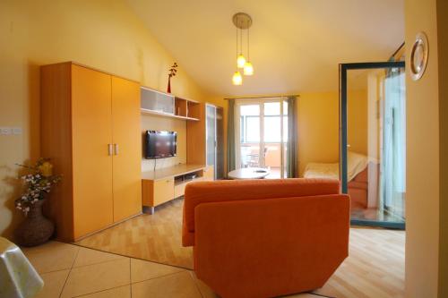 Apartments Pintar Zarok