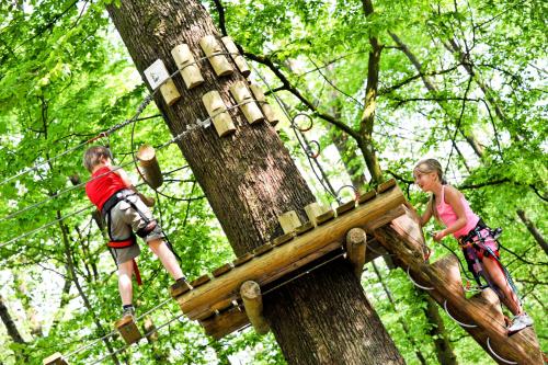 a boy and a girl climbing on a tree at Golden Lakes Village Ardennes in Boussu-lez-Walcourt