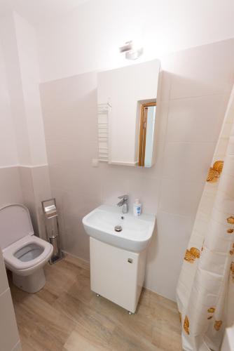 a bathroom with a toilet and a sink and a mirror at Garsoniere Central in Satu Mare